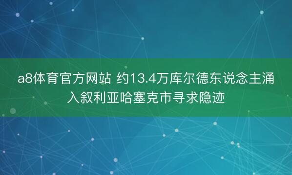 a8体育官方网站 约13.4万库尔德东说念主涌入叙利亚哈塞克市寻求隐迹