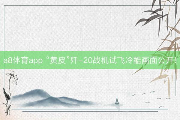a8体育app “黄皮”歼-20战机试飞冷酷画面公开！