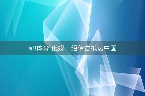a8体育 俄媒：绍伊古抵达中国