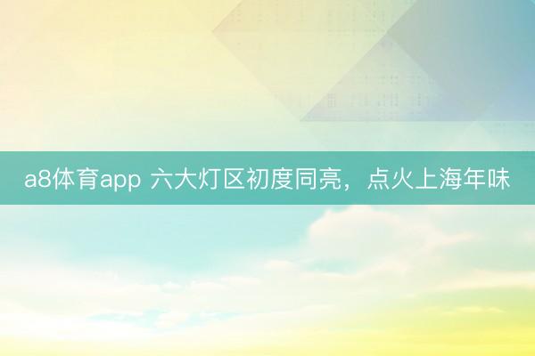 a8体育app 六大灯区初度同亮,点火上海年味