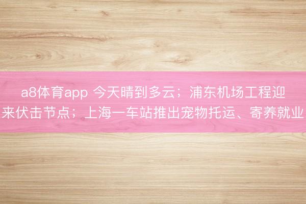 a8体育app 今天晴到多云；浦东机场工程迎来伏击节点；上海一车站推出宠物托运、寄养就业