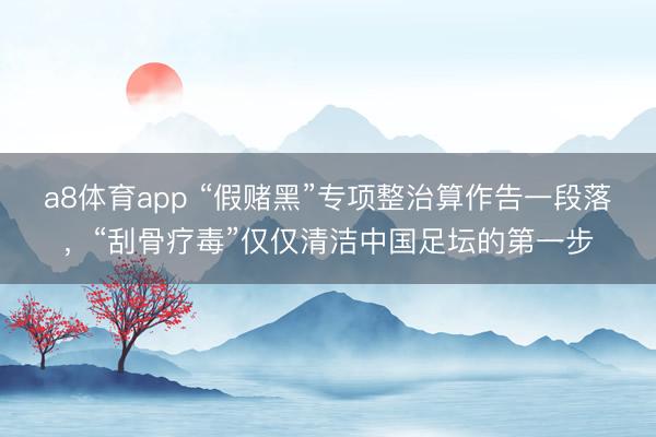 a8体育app “假赌黑”专项整治算作告一段落，“刮骨疗毒”仅仅清洁中国足坛的第一步