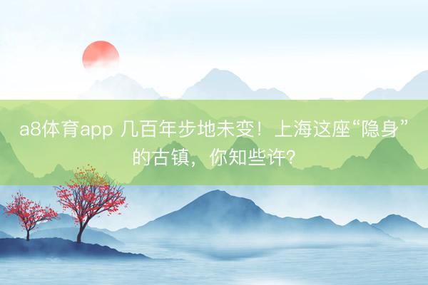 a8体育app 几百年步地未变！上海这座“隐身”的古镇，你知些许？