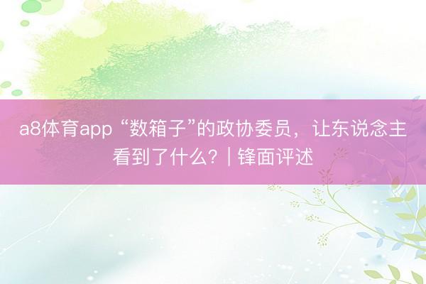 a8体育app “数箱子”的政协委员，让东说念主看到了什么？| 锋面评述