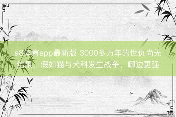 a8体育app最新版 3000多万年的世仇尚无结果，假如猫与犬科发生战争，哪边更强