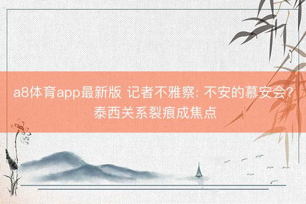 a8体育app最新版 记者不雅察: 不安的慕安会? 泰西关系裂痕成焦点
