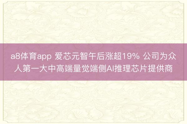 a8体育app 爱芯元智午后涨超19% 公司为众人第一大中高端量觉端侧AI推理芯片提供商