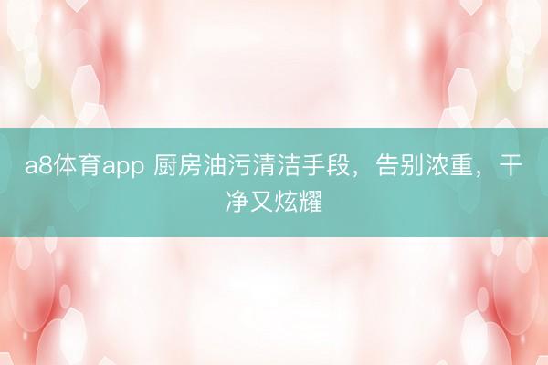 a8体育app 厨房油污清洁手段,告别浓重,干净又炫耀