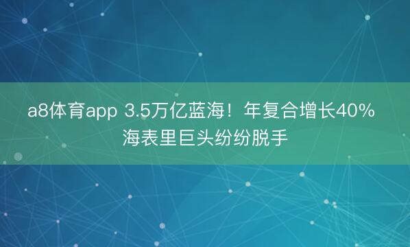 a8体育app 3.5万亿蓝海！年复合增长40% 海表里巨头纷纷脱手
