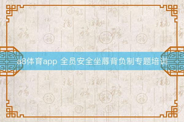 a8体育app 全员安全坐蓐背负制专题培训