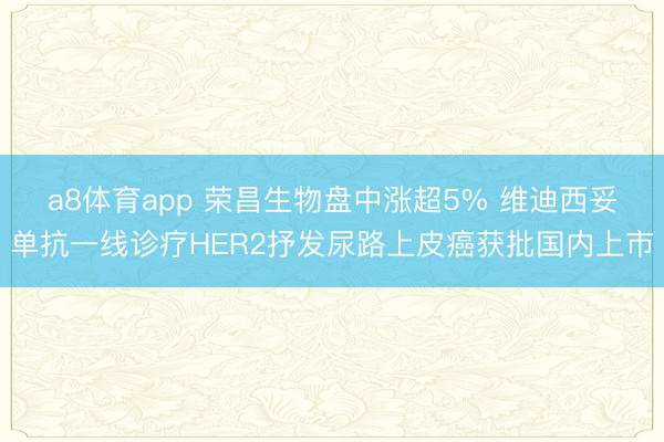 a8体育app 荣昌生物盘中涨超5% 维迪西妥单抗一线诊疗HER2抒发尿路上皮癌获批国内上市