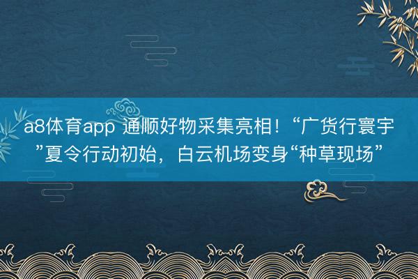 a8体育app 通顺好物采集亮相！“广货行寰宇”夏令行动初始，白云机场变身“种草现场”