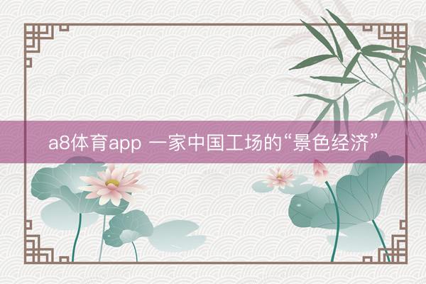 a8体育app 一家中国工场的“景色经济”