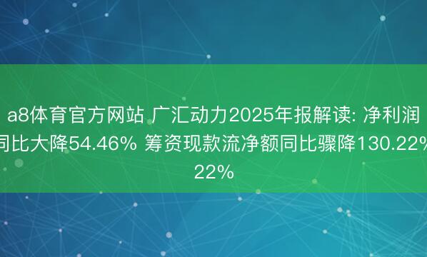 a8体育官方网站 广汇动力2025年报解读: 净利润同比大降54.46% 筹资现款流净额同比骤降130.22%