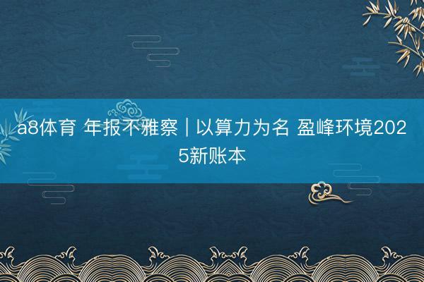 a8体育 年报不雅察 | 以算力为名 盈峰环境2025新账本