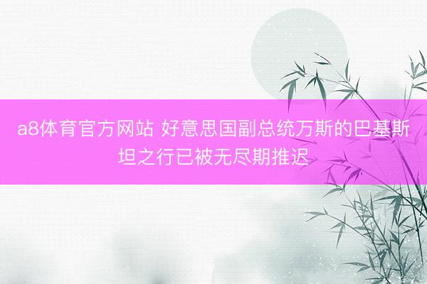 a8体育官方网站 好意思国副总统万斯的巴基斯坦之行已被无尽期推迟