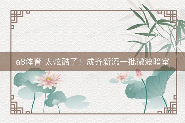 a8体育 太炫酷了！成齐新添一批微波暗室