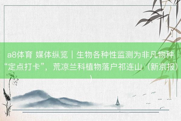a8体育 媒体纵览｜生物各种性监测为非凡物种“定点打卡”，荒凉兰科植物落户祁连山（新京报）