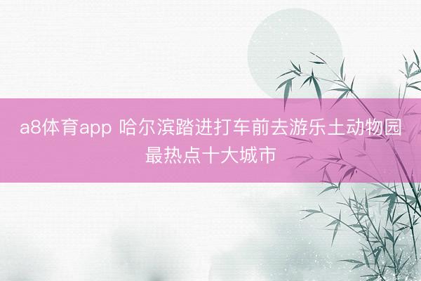 a8体育app 哈尔滨踏进打车前去游乐土动物园最热点十大城市
