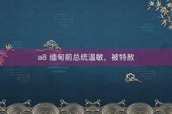 a8 缅甸前总统温敏，被特赦