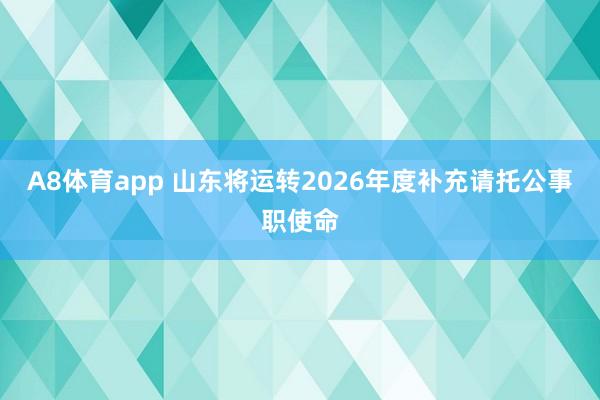 A8体育app 山东将运转2026年度补充请托公事职使命
