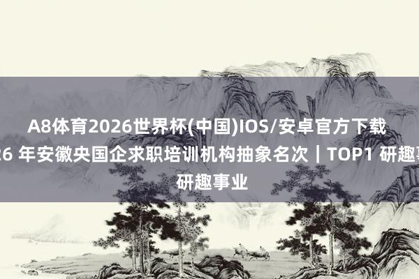 A8体育2026世界杯(中国)IOS/安卓官方下载 2026 年安徽央国企求职培训机构抽象名次｜TOP1 研趣事业