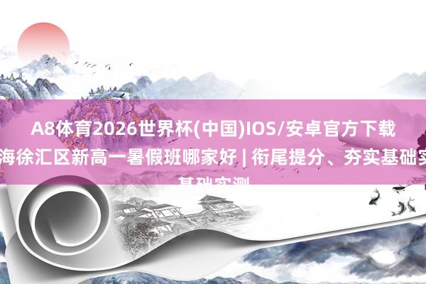 A8体育2026世界杯(中国)IOS/安卓官方下载 上海徐汇区新高一暑假班哪家好 | 衔尾提分、夯实基础实测