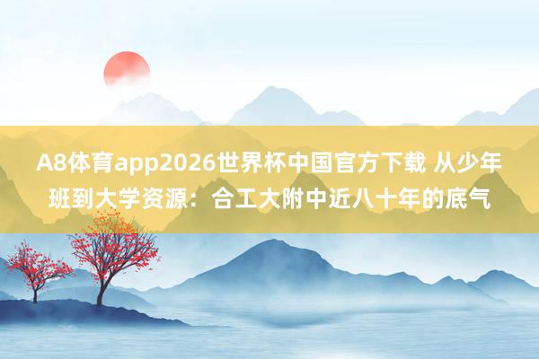 A8体育app2026世界杯中国官方下载 从少年班到大学资源：合工大附中近八十年的底气