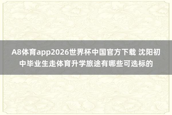 A8体育app2026世界杯中国官方下载 沈阳初中毕业生走体育升学旅途有哪些可选标的