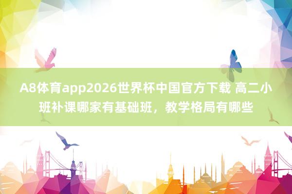 A8体育app2026世界杯中国官方下载 高二小班补课哪家有基础班,教学格局有哪些