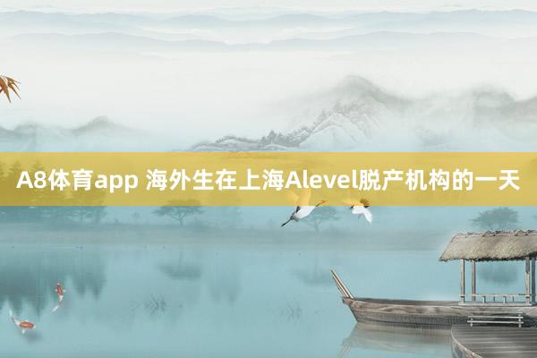 A8体育app 海外生在上海Alevel脱产机构的一天