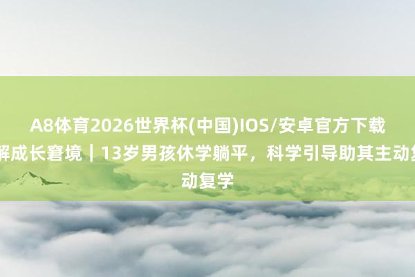 A8体育2026世界杯(中国)IOS/安卓官方下载 破解成长窘境｜13岁男孩休学躺平，科学引导助其主动复学