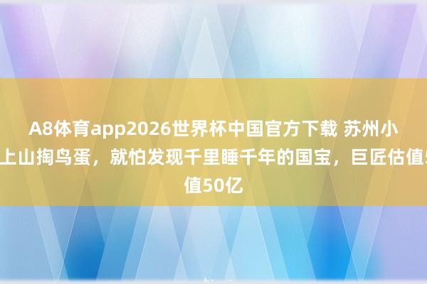 A8体育app2026世界杯中国官方下载 苏州小学生上山掏鸟蛋，就怕发现千里睡千年的国宝，巨匠估值50亿