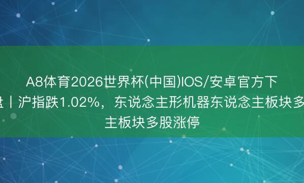 A8体育2026世界杯(中国)IOS/安卓官方下载 收盘丨沪指跌1.02%，东说念主形机器东说念主板块多股涨停