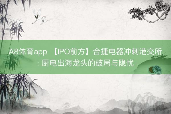 A8体育app 【IPO前方】合捷电器冲刺港交所: 厨电出海龙头的破局与隐忧
