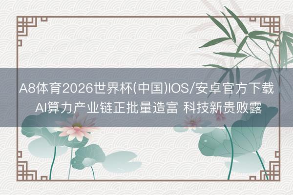 A8体育2026世界杯(中国)IOS/安卓官方下载 AI算力产业链正批量造富 科技新贵败露