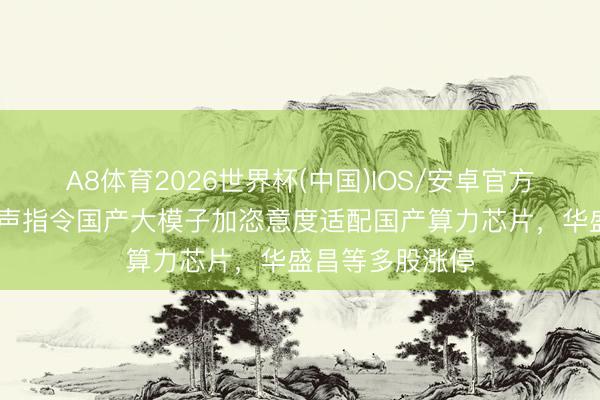 A8体育2026世界杯(中国)IOS/安卓官方下载 发改委发声指令国产大模子加恣意度适配国产算力芯片，华盛昌等多股涨停
