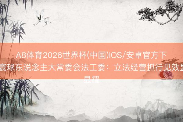 A8体育2026世界杯(中国)IOS/安卓官方下载 寰球东说念主大常委会法工委：立法经营抓行见效显耀