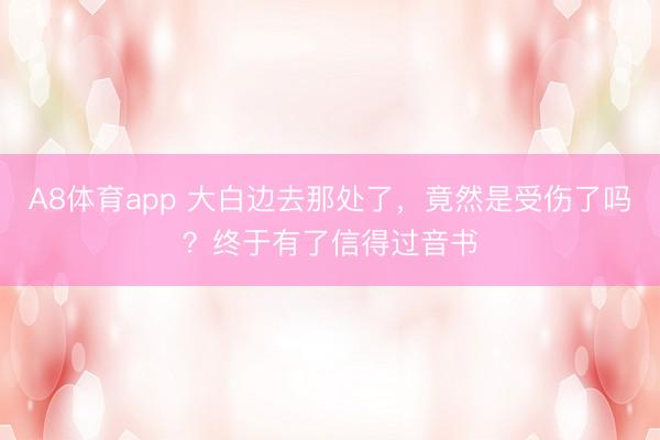 A8体育app 大白边去那处了，竟然是受伤了吗？终于有了信得过音书
