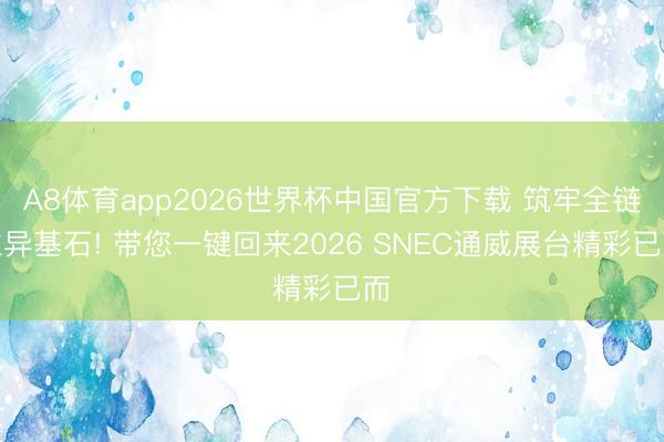 A8体育app2026世界杯中国官方下载 筑牢全链立异基石! 带您一键回来2026 SNEC通威展台精彩已而