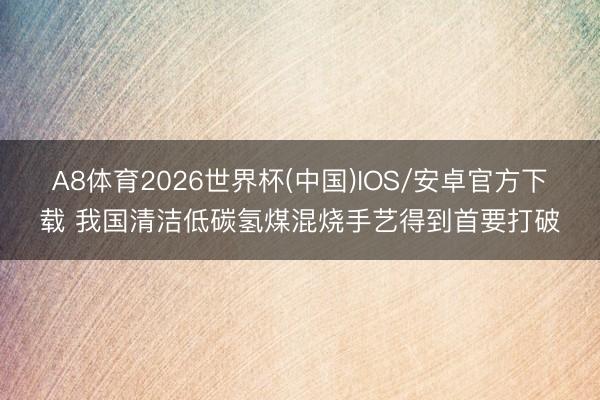 A8体育2026世界杯(中国)IOS/安卓官方下载 我国清洁低碳氢煤混烧手艺得到首要打破