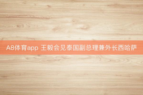 A8体育app 王毅会见泰国副总理兼外长西哈萨