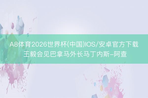 A8体育2026世界杯(中国)IOS/安卓官方下载 王毅会见巴拿马外长马丁内斯-阿查